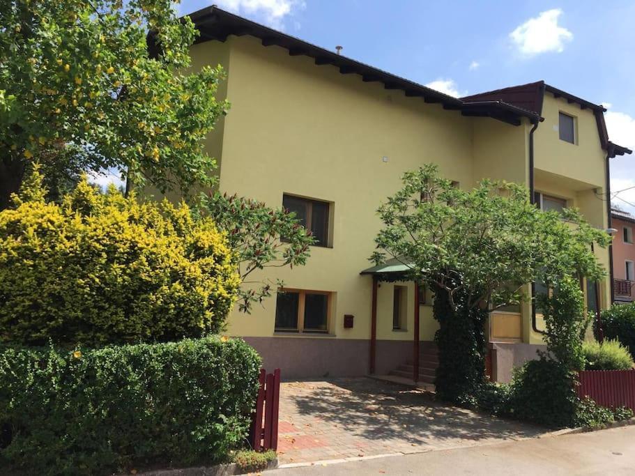 Appartement Cozy Near The With Free Parking *